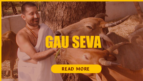 Gau-Seva